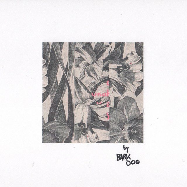 Okay Okay cover art