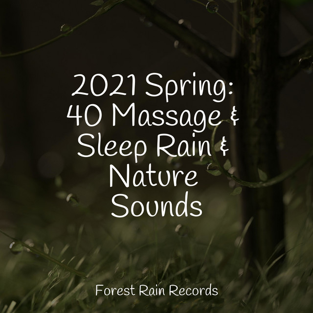 2021 Spring: 40 Massage & Sleep Rain & Nature Sounds - Album by ...