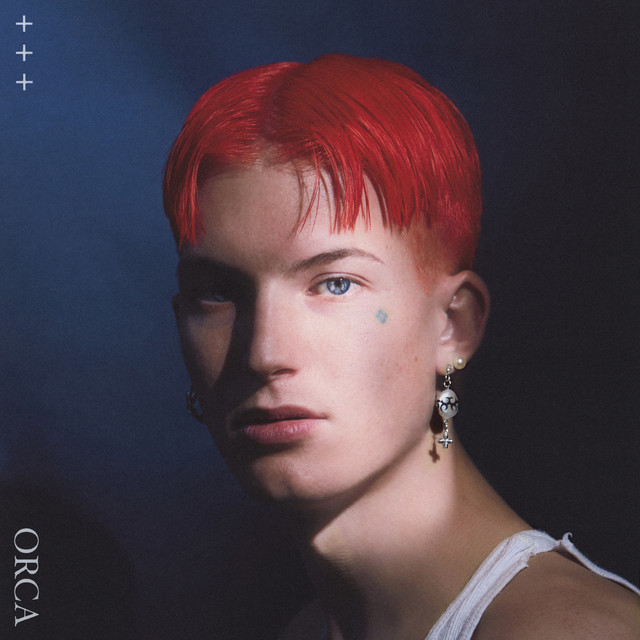 Orca cover art