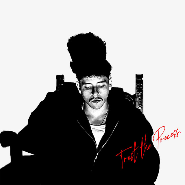 Trust the Process cover art