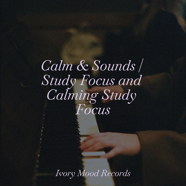 Calm & Sounds | Study Focus and Calming Study Focus - Album by SD | Spotify
