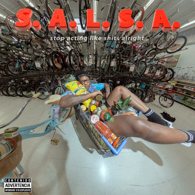 Salsa (Stop Acting Like Shits Alright) cover art