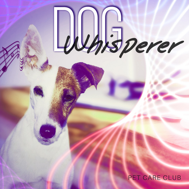 Dog Whisperer cover art