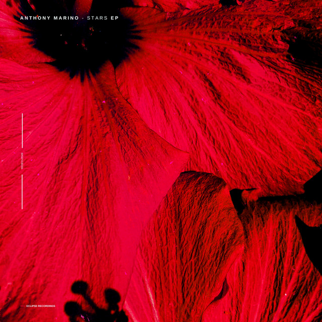 Stars cover art