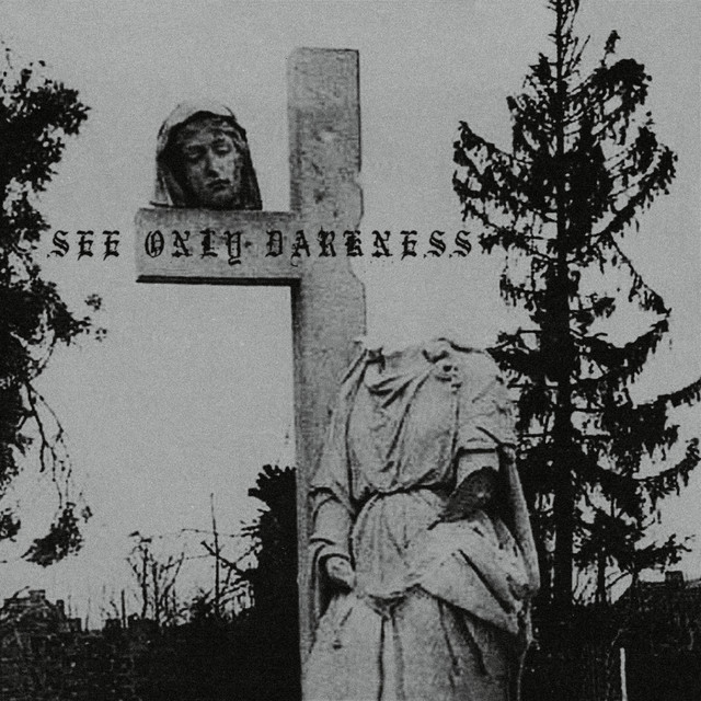 See Only Darkness cover