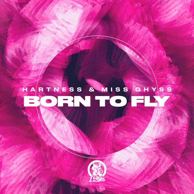 Born To Fly artwork