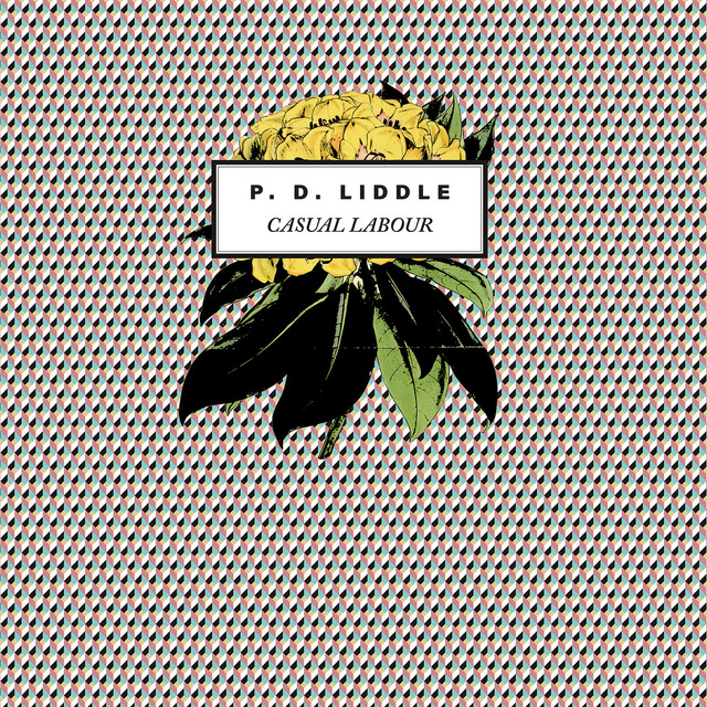 Casual Labour cover art