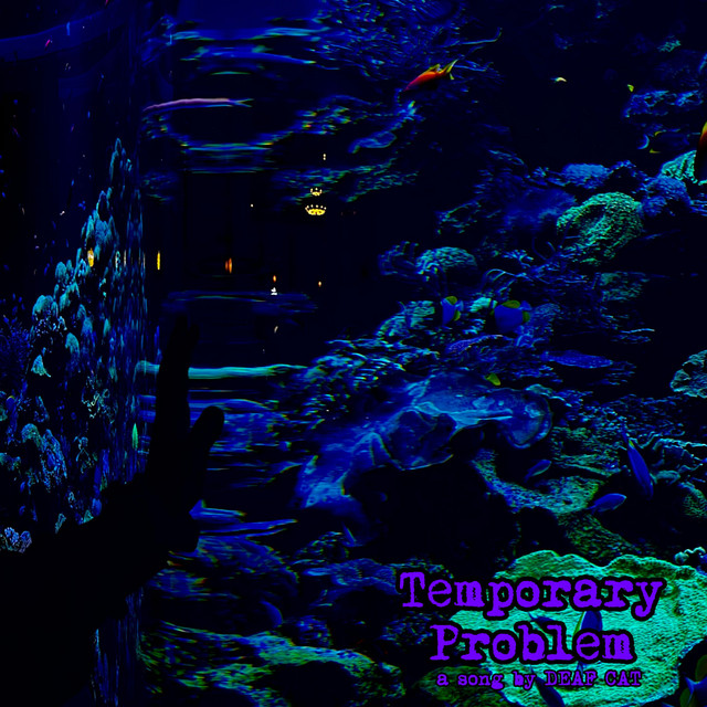 Temporary Problem cover art