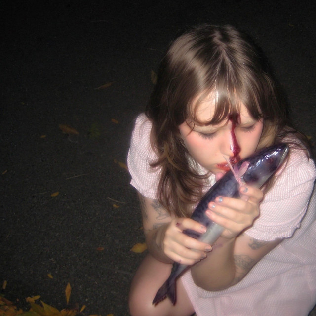 Pegasus Blood Harmony Korine cover art