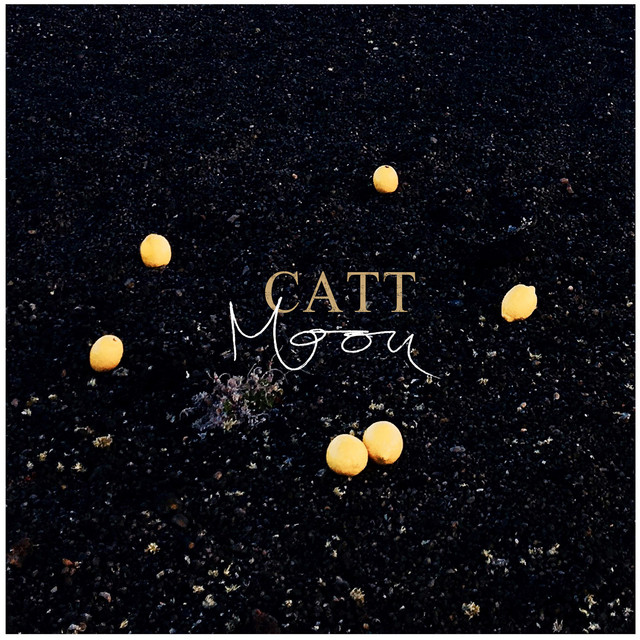 Moon cover art
