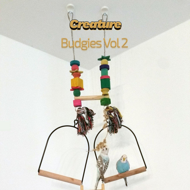 Budgies, Vol. 2 cover art