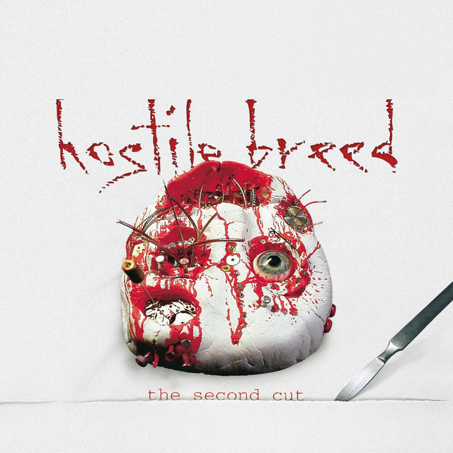 The Second Cut cover