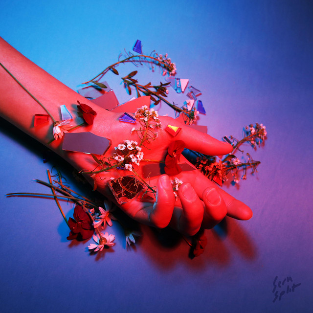 Split cover art