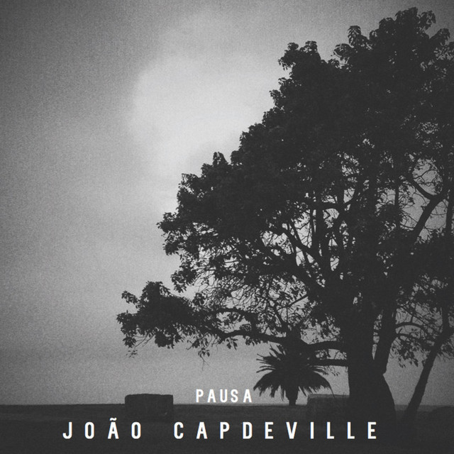 Pausa cover art