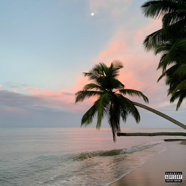 Summer Vibez cover art