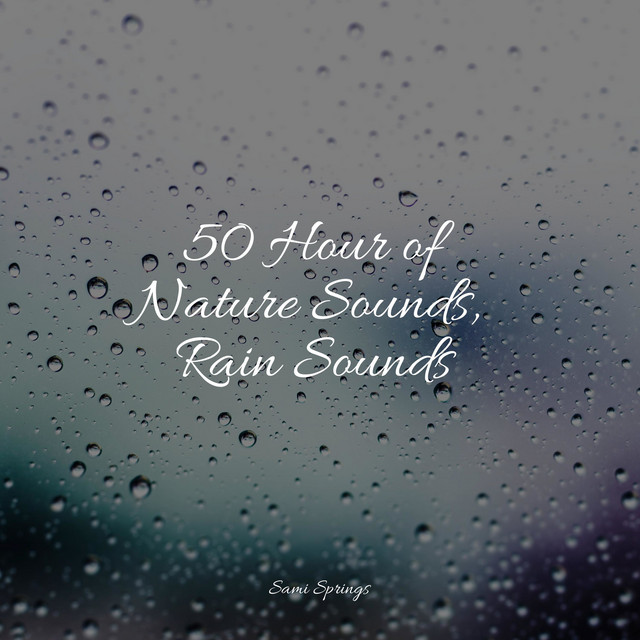 50 Hour of Nature Sounds, Rain Sounds - Album by Tinnitus Aid | Spotify
