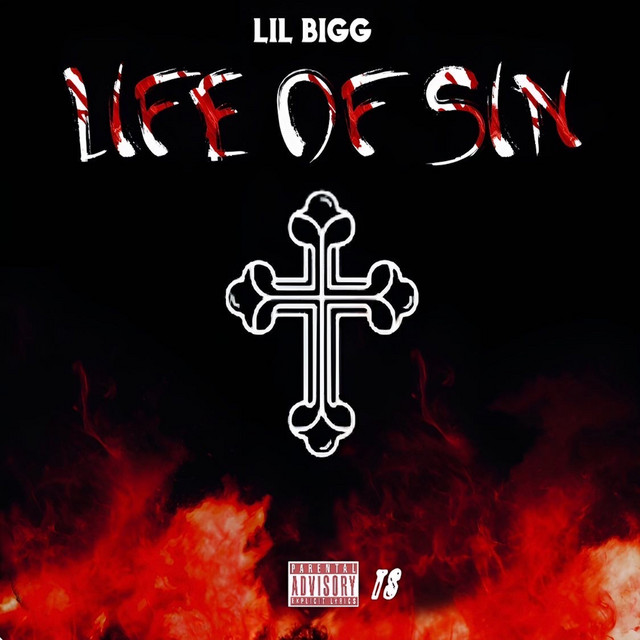 Life Of Sin cover art