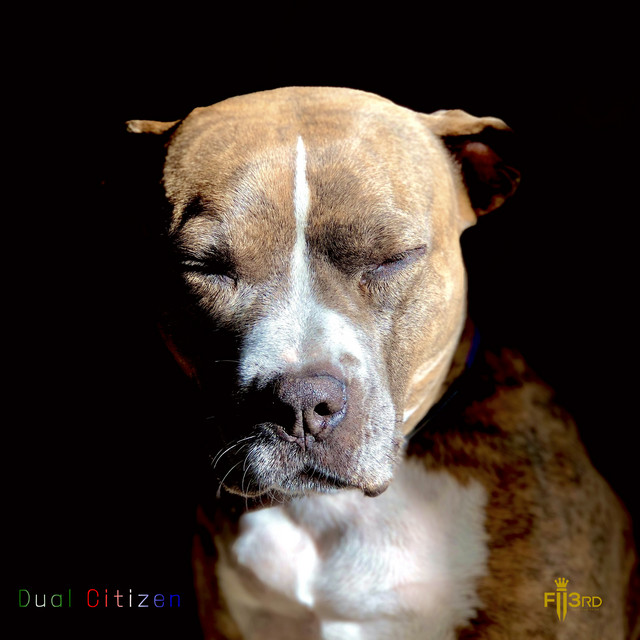 Dual Citizen cover art