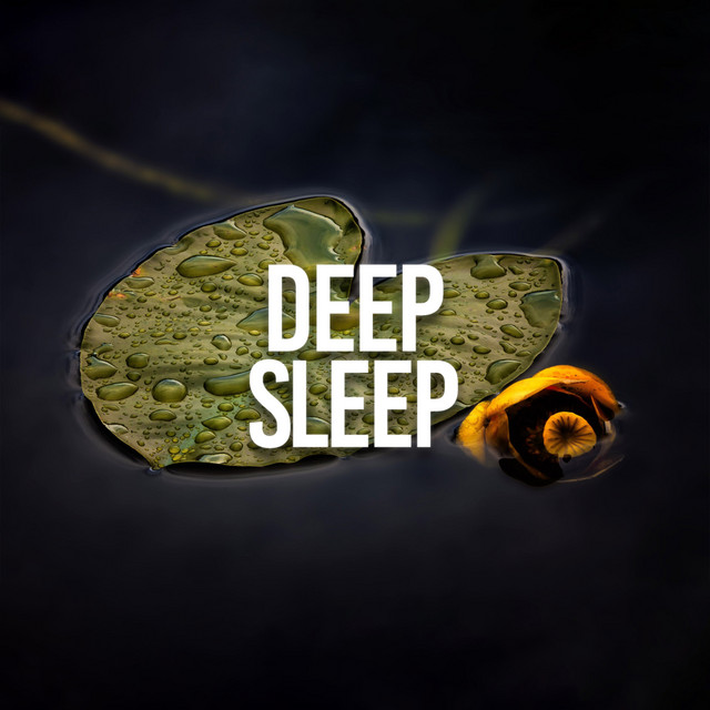 Deep Sleep cover art