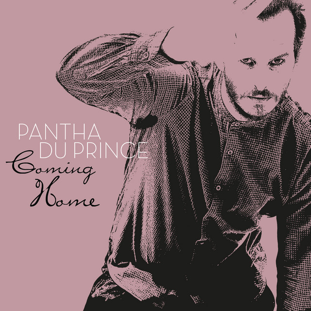 Coming Home by Pantha du Prince cover art