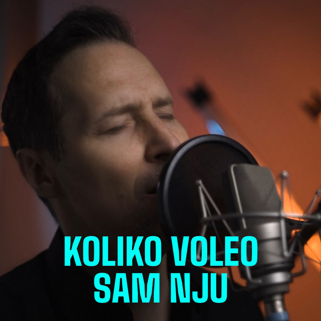 Koliko Voleo Sam Nju cover art