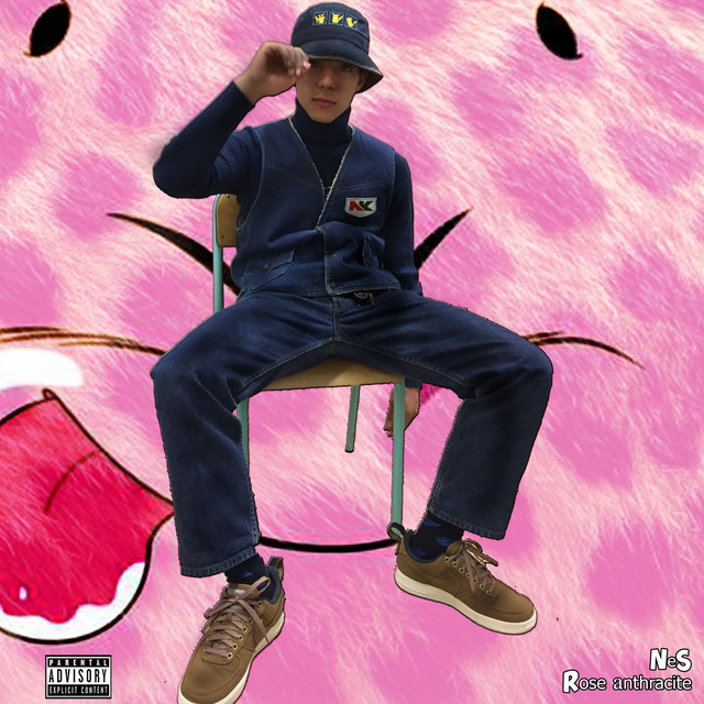 Rose anthracite cover art