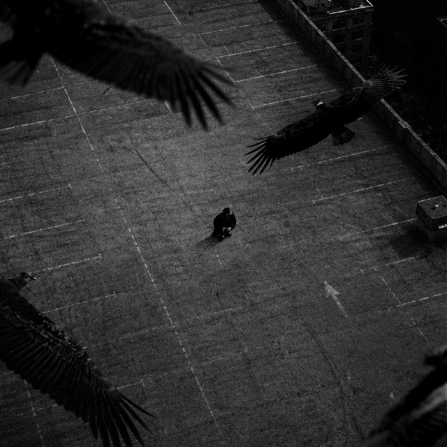 EL CONDOR cover