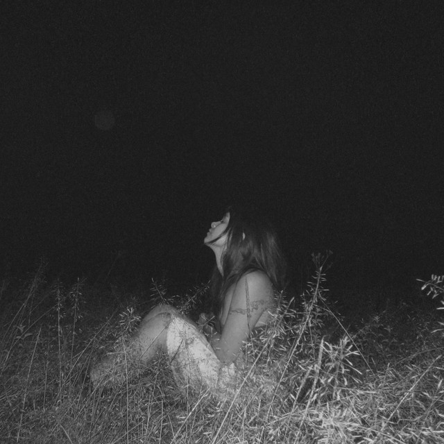 A mediosueño cover art