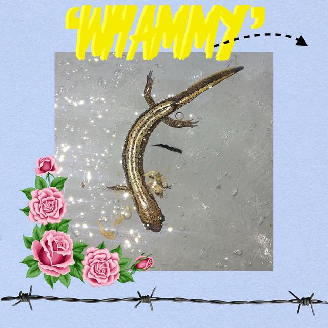 Whammy cover