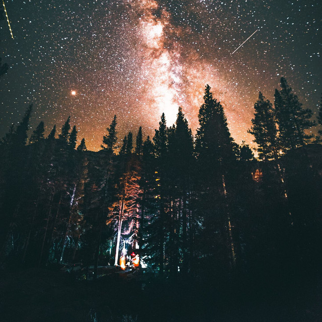 Forest at Night (Remix)