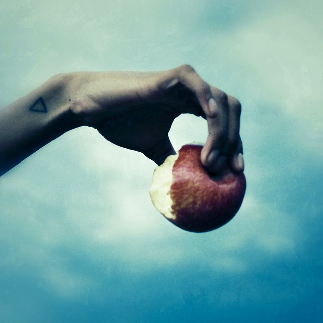 The First Kind cover art