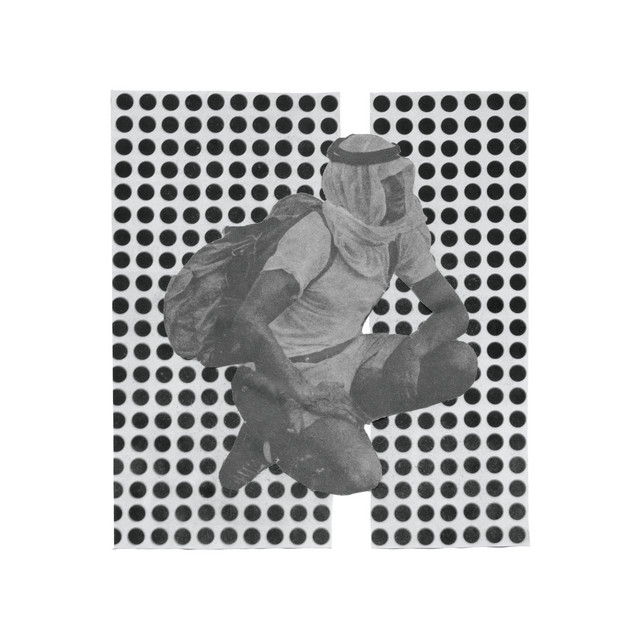 The Album Paranoia cover art