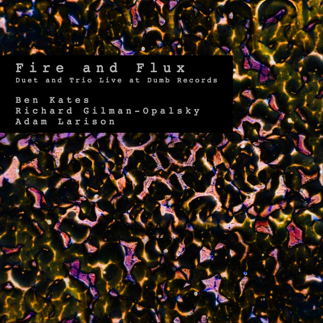 Duet and Trio Live at Dumb Records