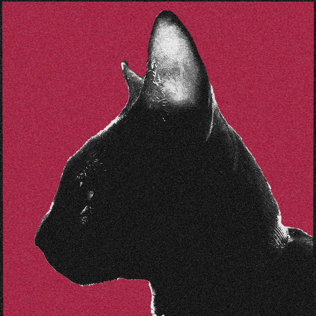 Meow Shoegazer