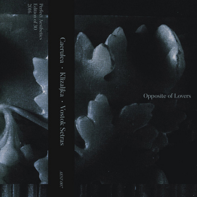 Opposite of Lovers cover art