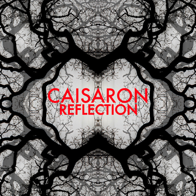 Reflection cover art