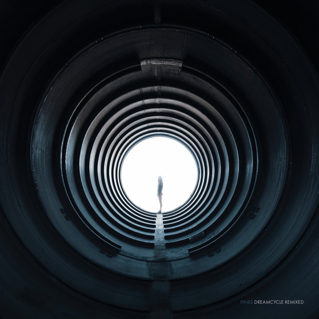 Dreamcycle Remixed cover art