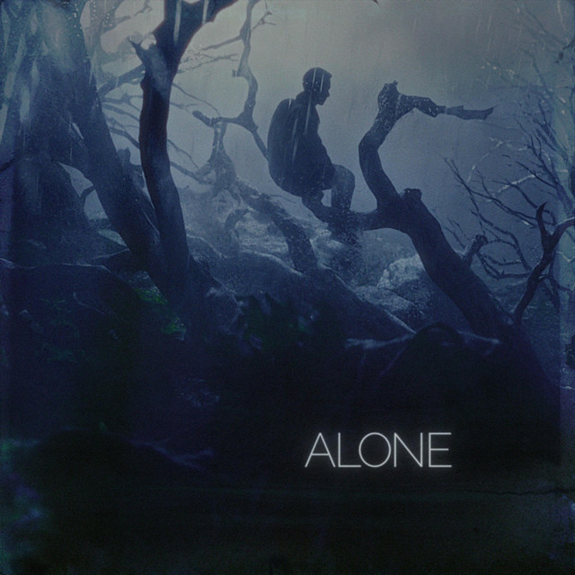 Обкладинка: Alone — SLncS
