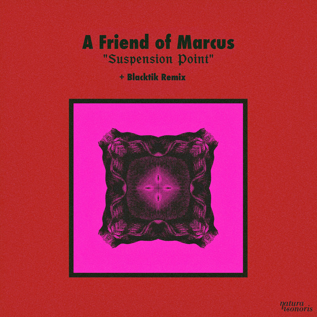 Suspension Point cover art