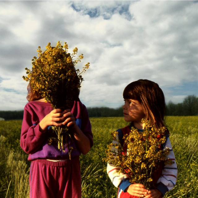 Honey cover art