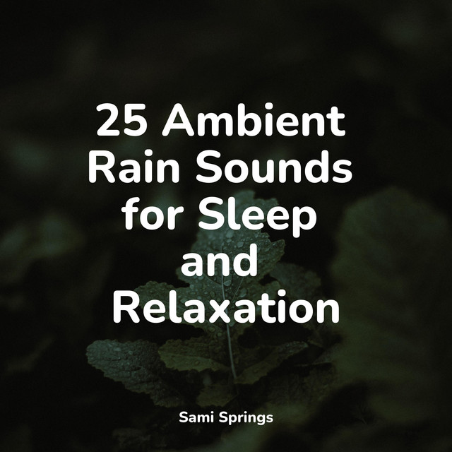 25 Ambient Rain Sounds for Sleep and Relaxation - Album by Echoes Of ...