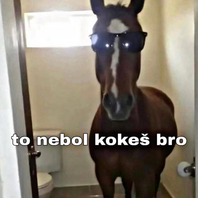 to nebol kk bro
