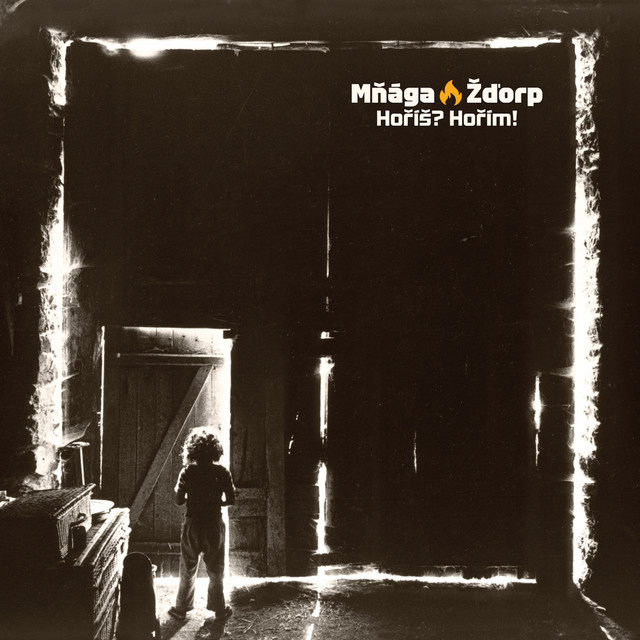 Hoříš? Hořím! cover art