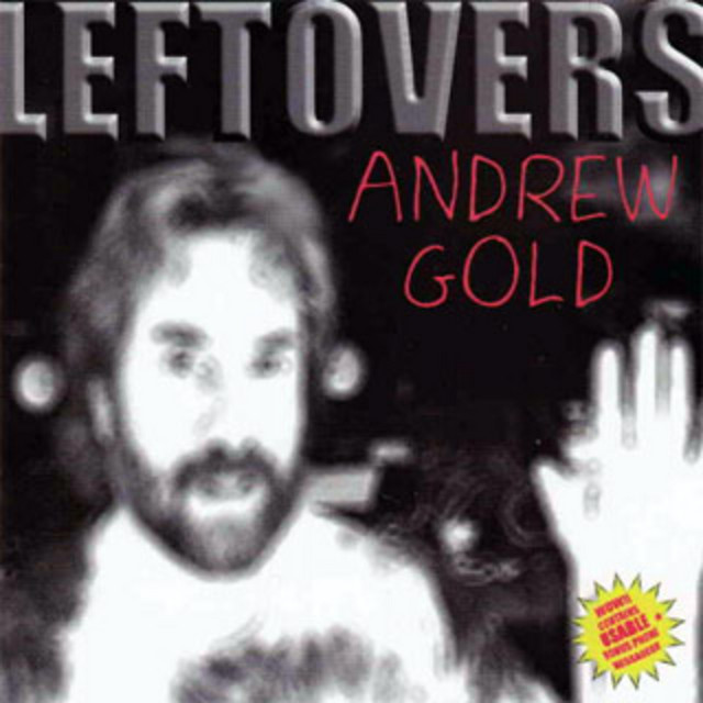 Leftovers cover art