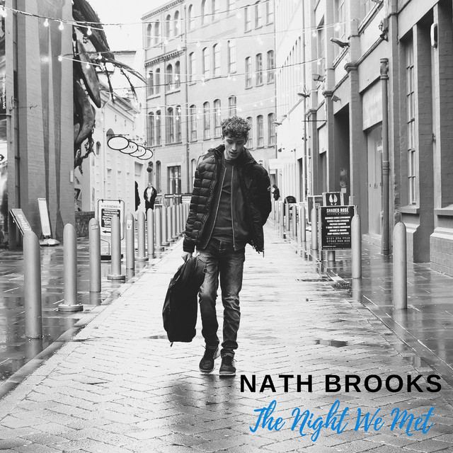 Take Me Back To The Night We Met cover art