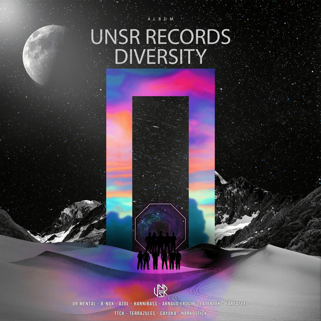 Diversity cover art