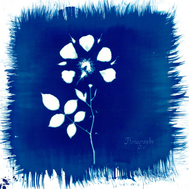 Floriography cover art