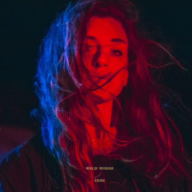 Wild Winds cover art