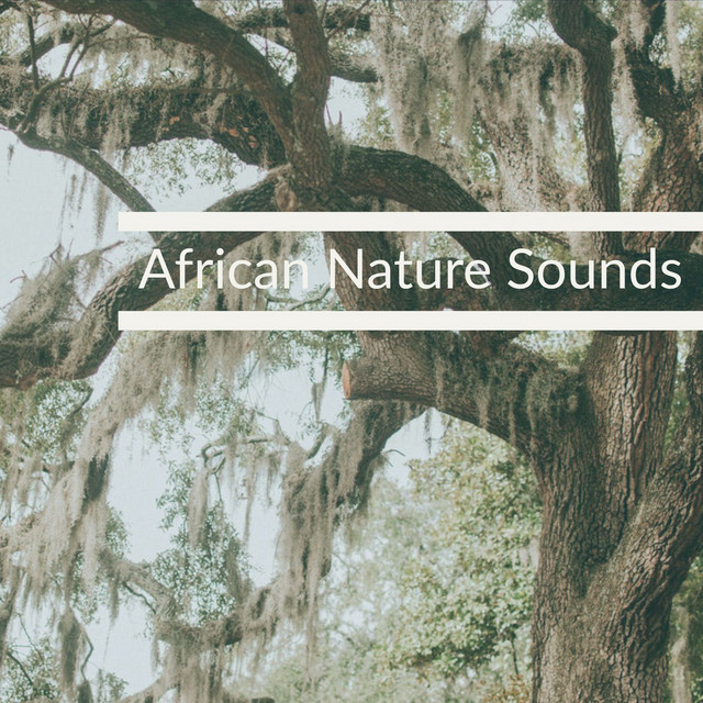 nature TAHI　3x2 sound