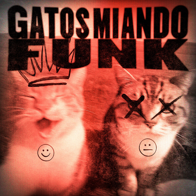GATOS MIANDO FUNK
